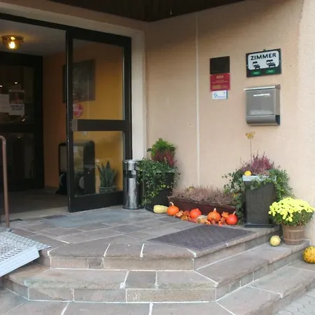 Maison d'hôtes Gasthof Gruner Baum 3*