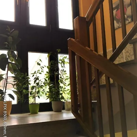 Gasthof Gruner Baum 3*